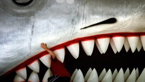 Zahnarzt selber zahlen? Es ist Zeit, dem CDU-Wirtschaftsrat die Zähne zu zeigen! — der Freitag