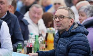 INSA-Umfrage: Für die Freiheitlichen ist absolute Mehrheit in Reichweite