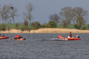 Timmy ganz alleine – Helfer zurückgezogen